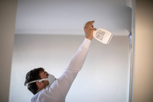 Best Attic Mold Removal  in , DE